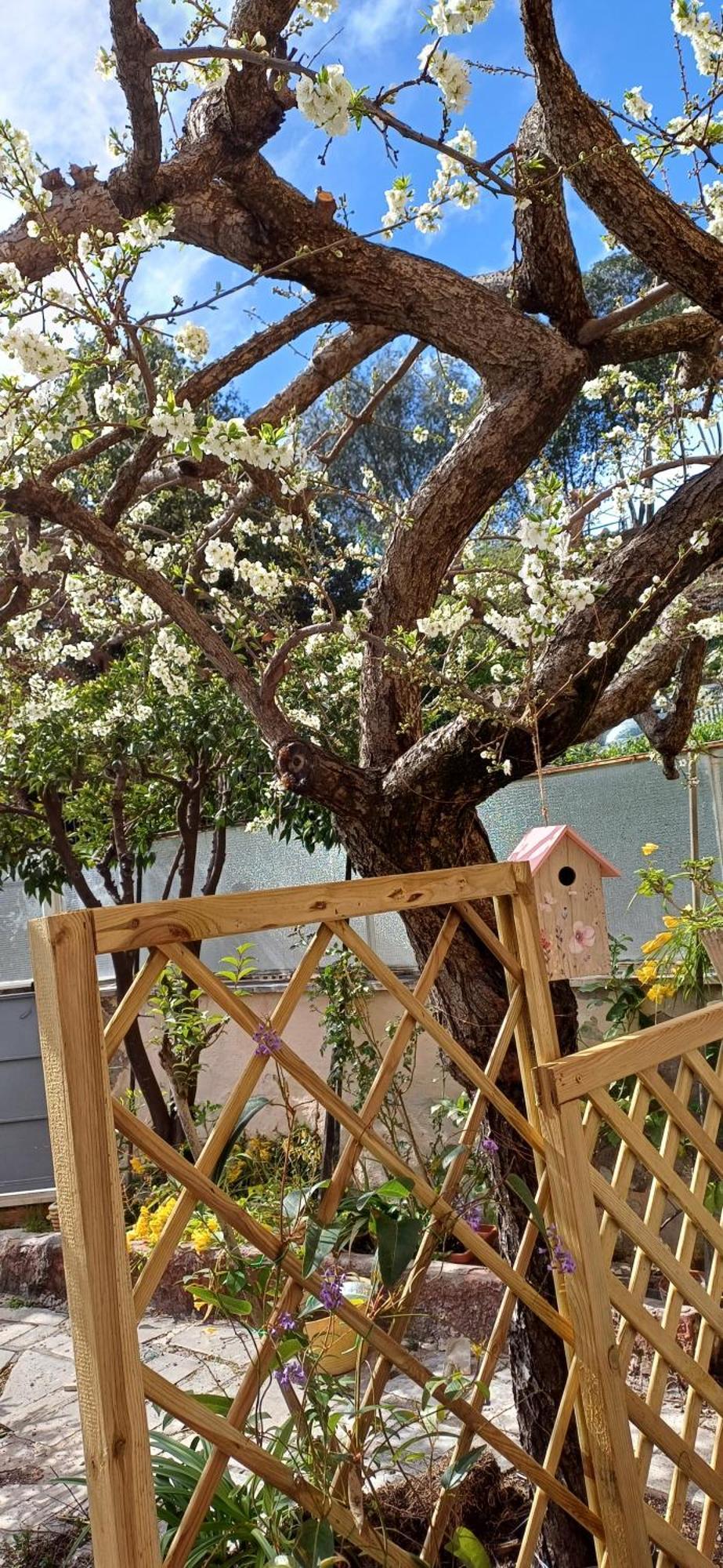 Apartamento Il Giardino Dell'eden 10 - Turistico Di Barbara C