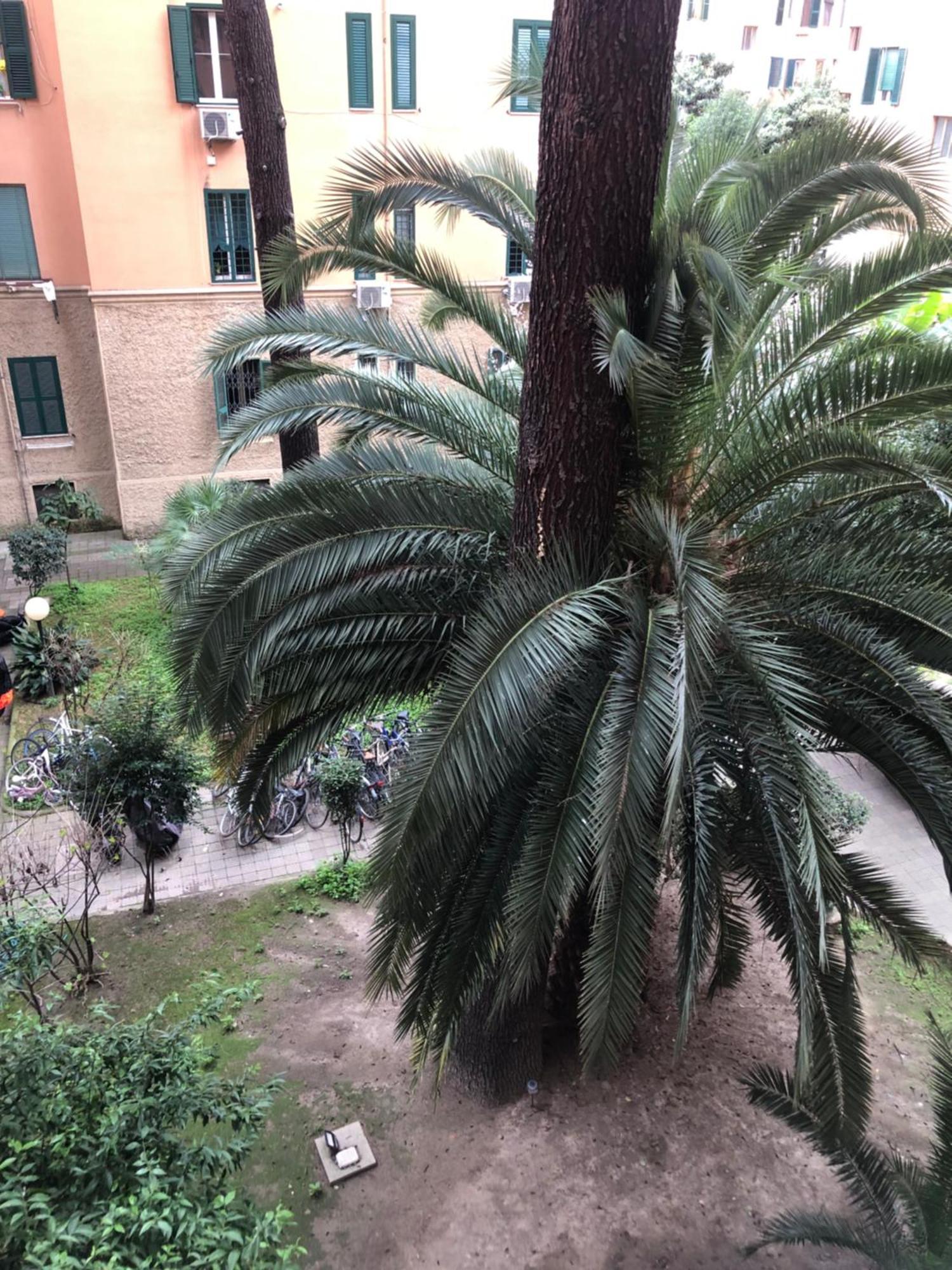 Appartamento Vatican 3th Floor *