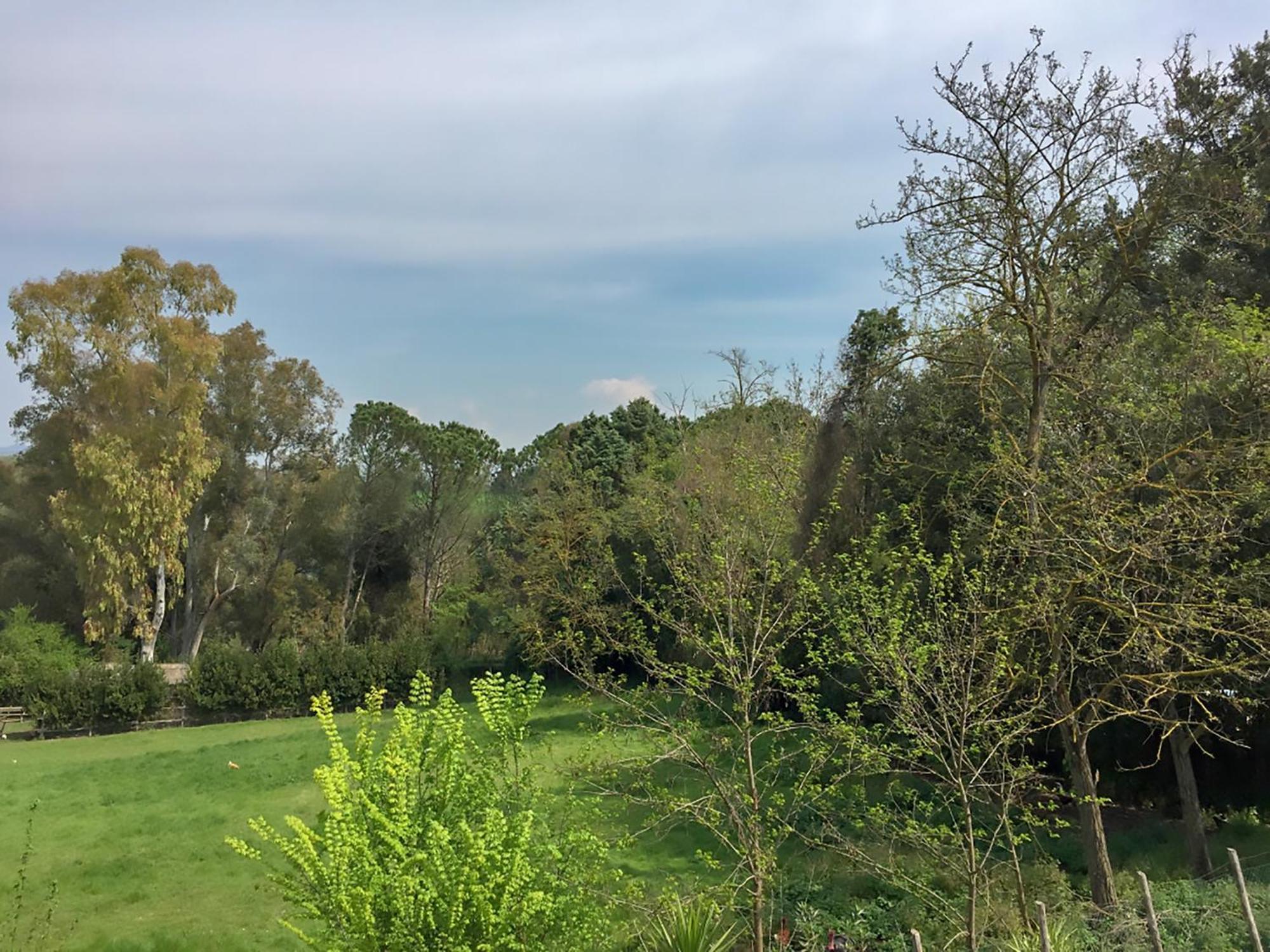 Nel Borgo Roma