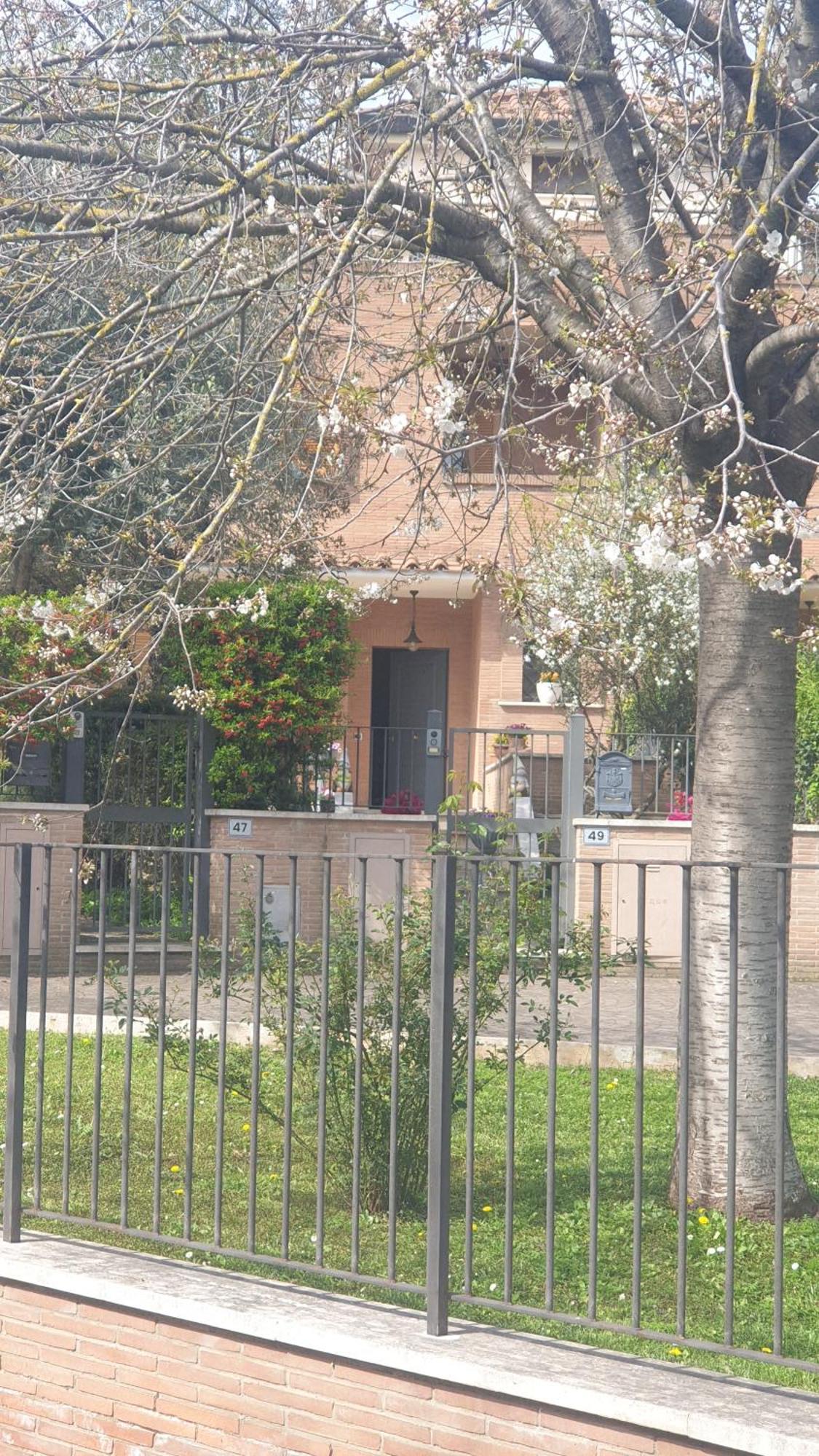 Domus Affittacamere *