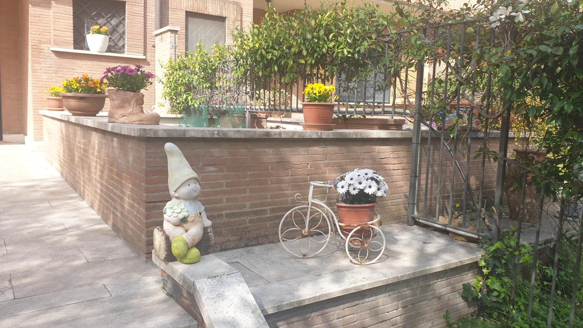Domus Affittacamere Roma