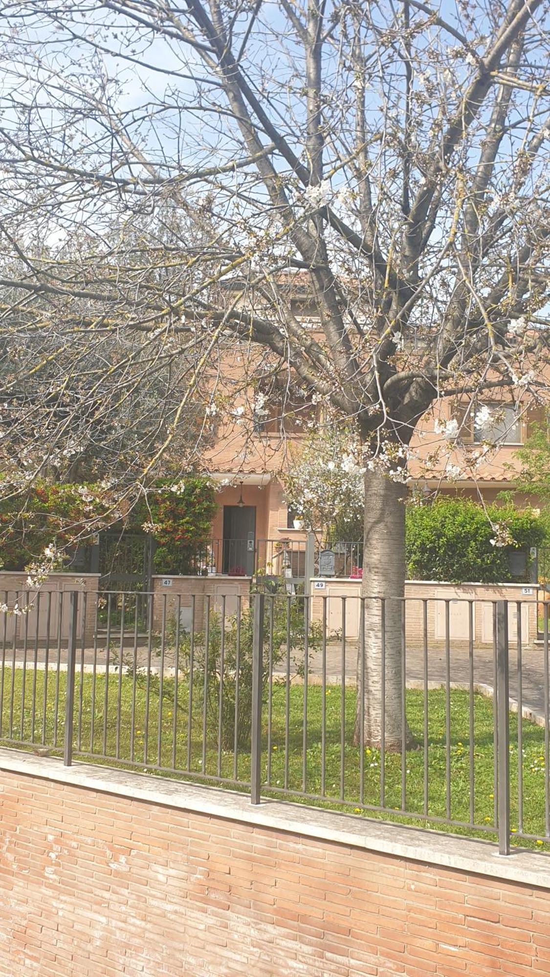 Domus Roma