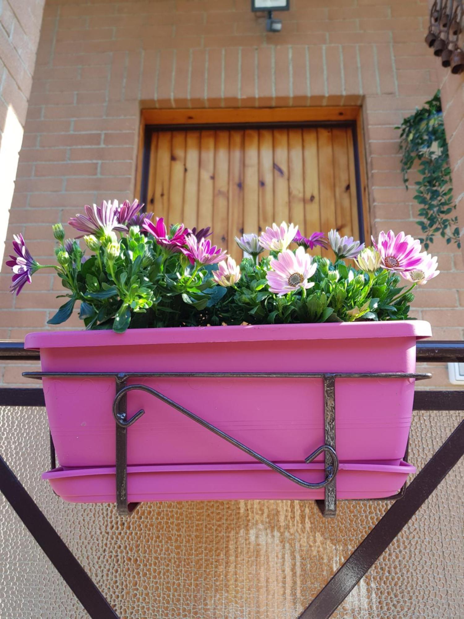 In Villino Apartamento *