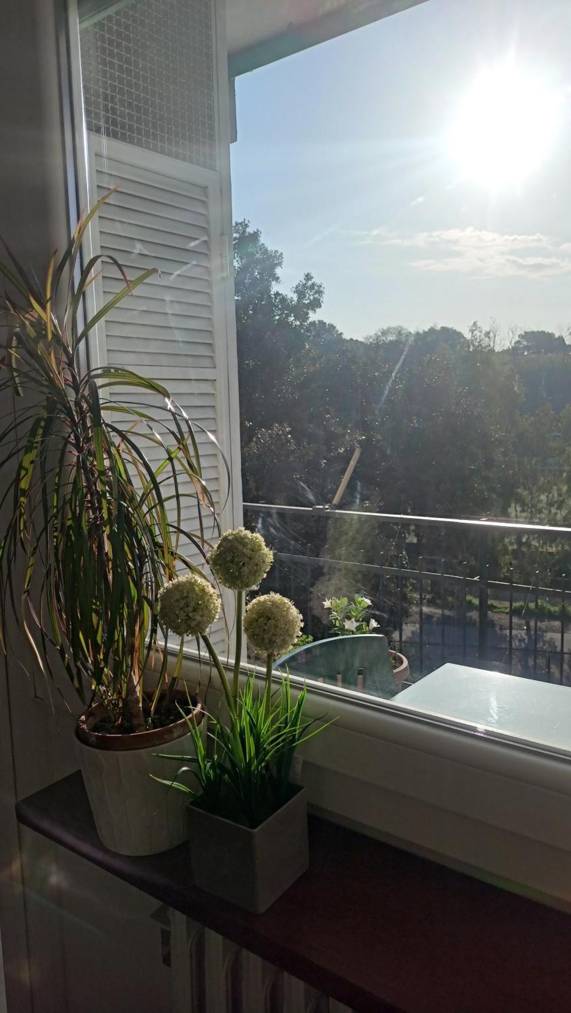Apartamento Boutique Vicino San Pietro Roma