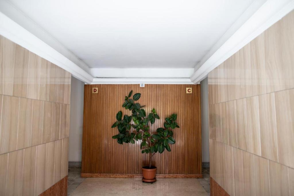 Apartamento Palace 2 *