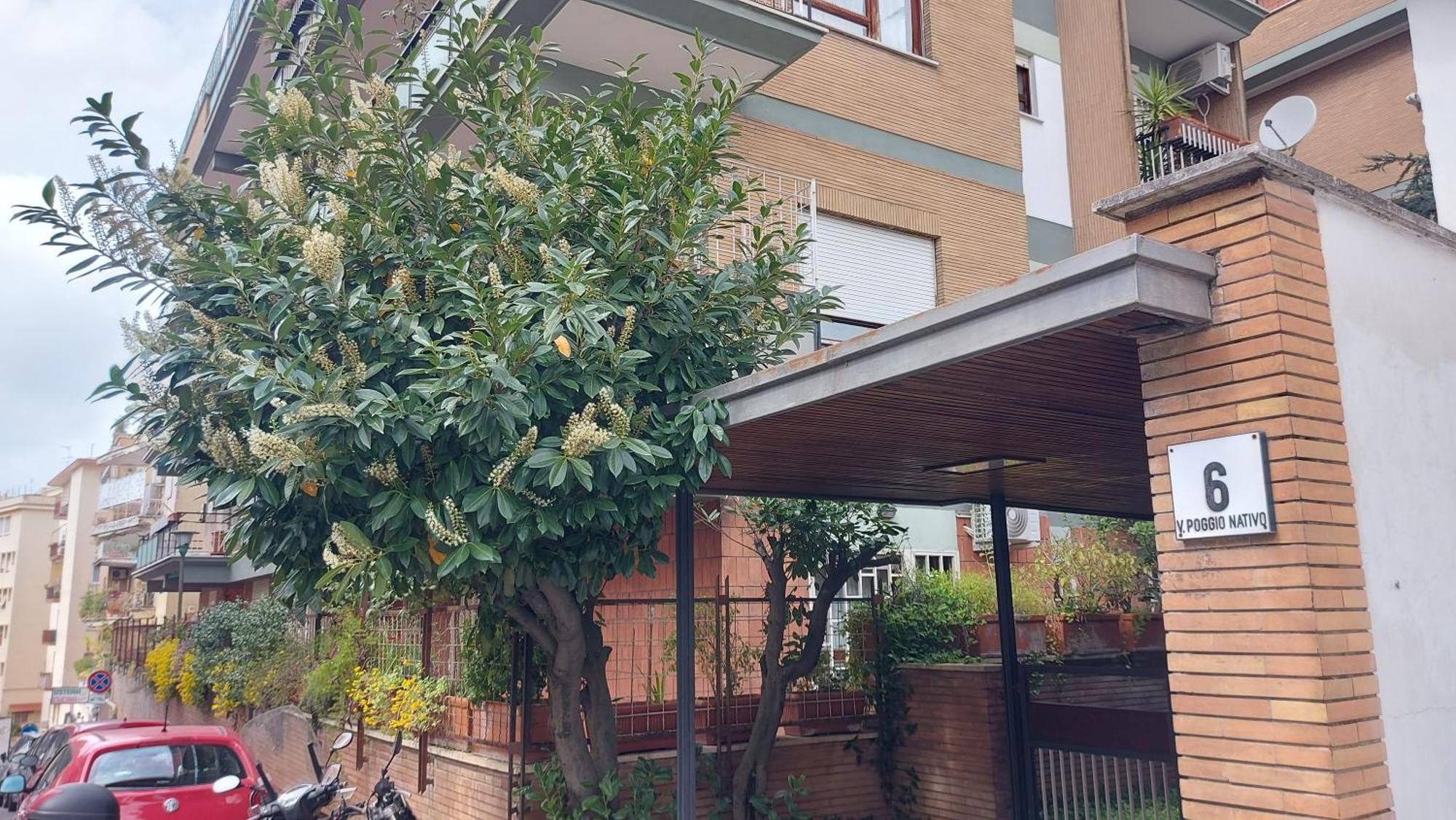 Isabella Apartment