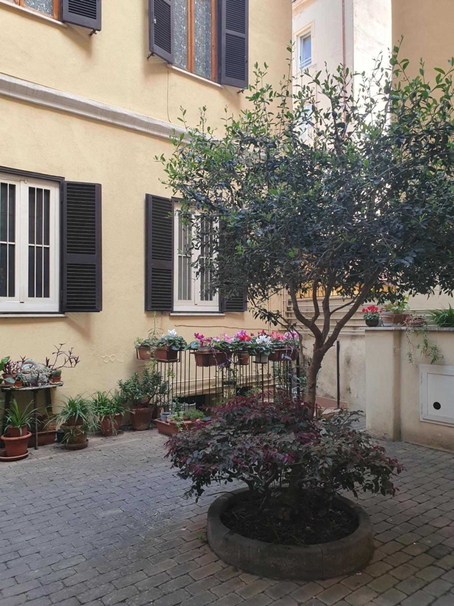 Vatican Oasis *