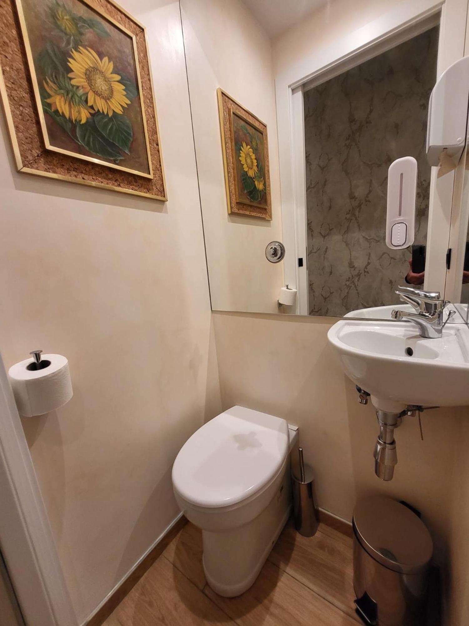 Affittacamere Venus Vatican *