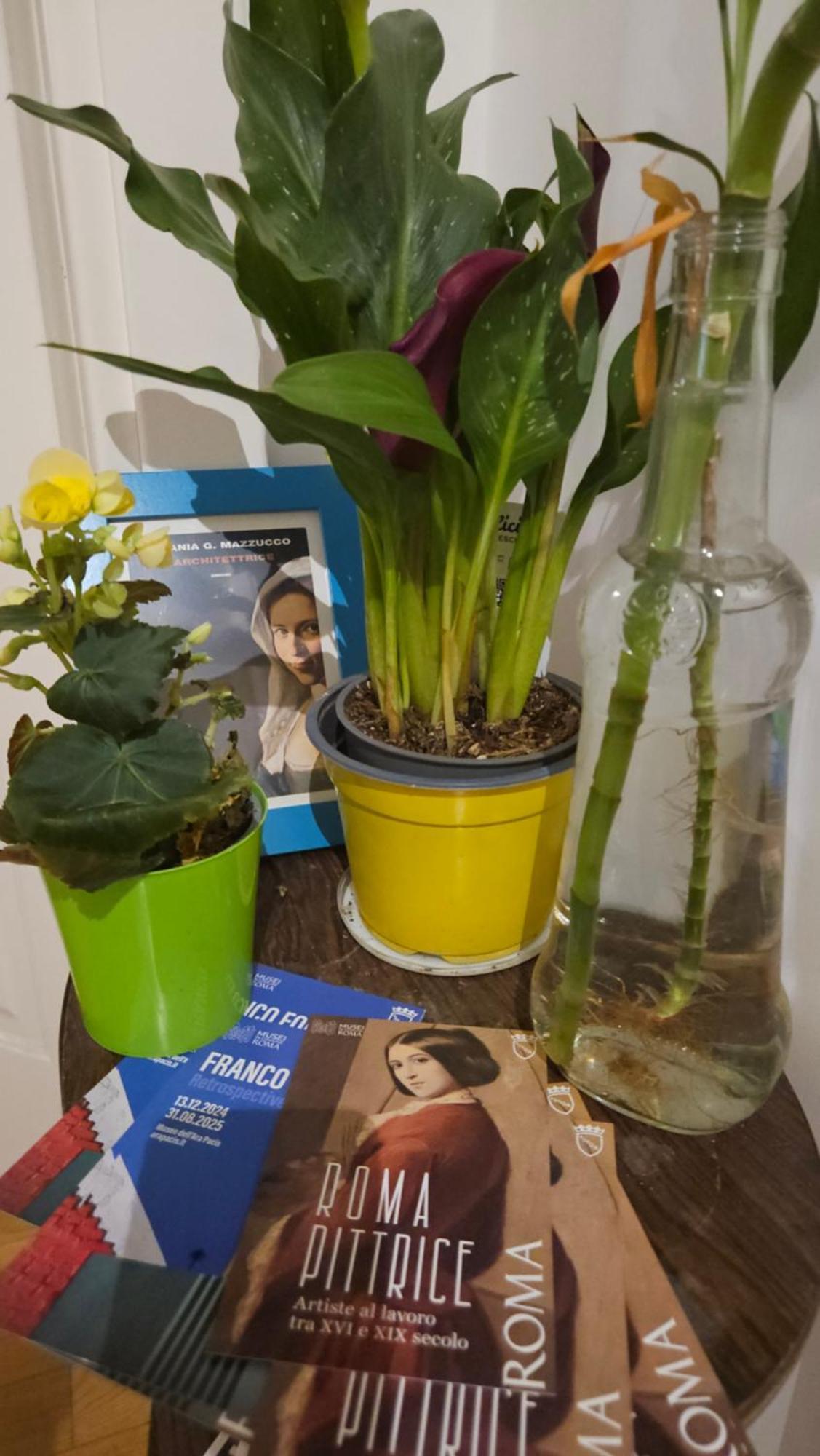 Ulysses In Frühstückspension Rom