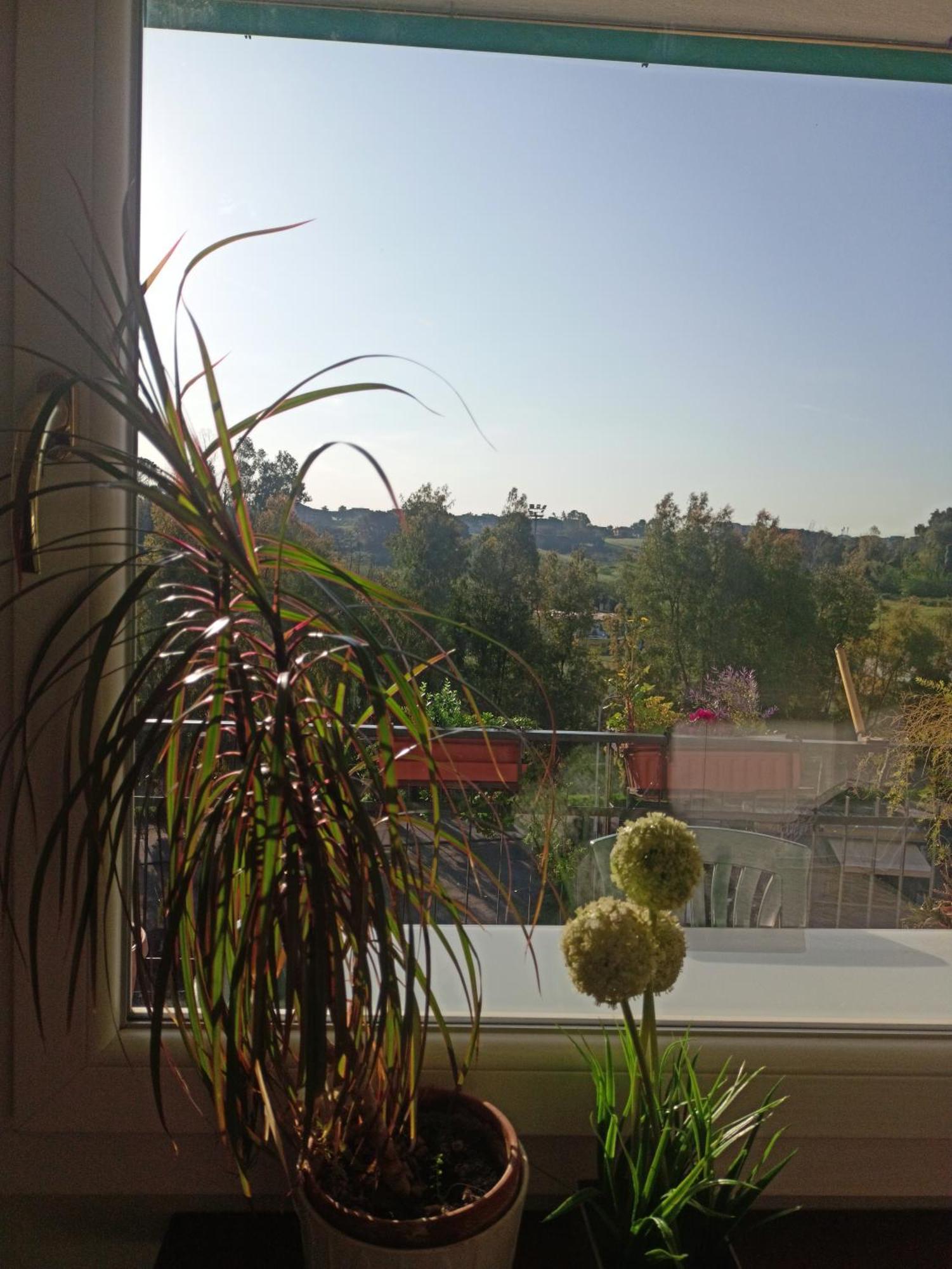 Boutique Vicino San Pietro Apartamento Roma