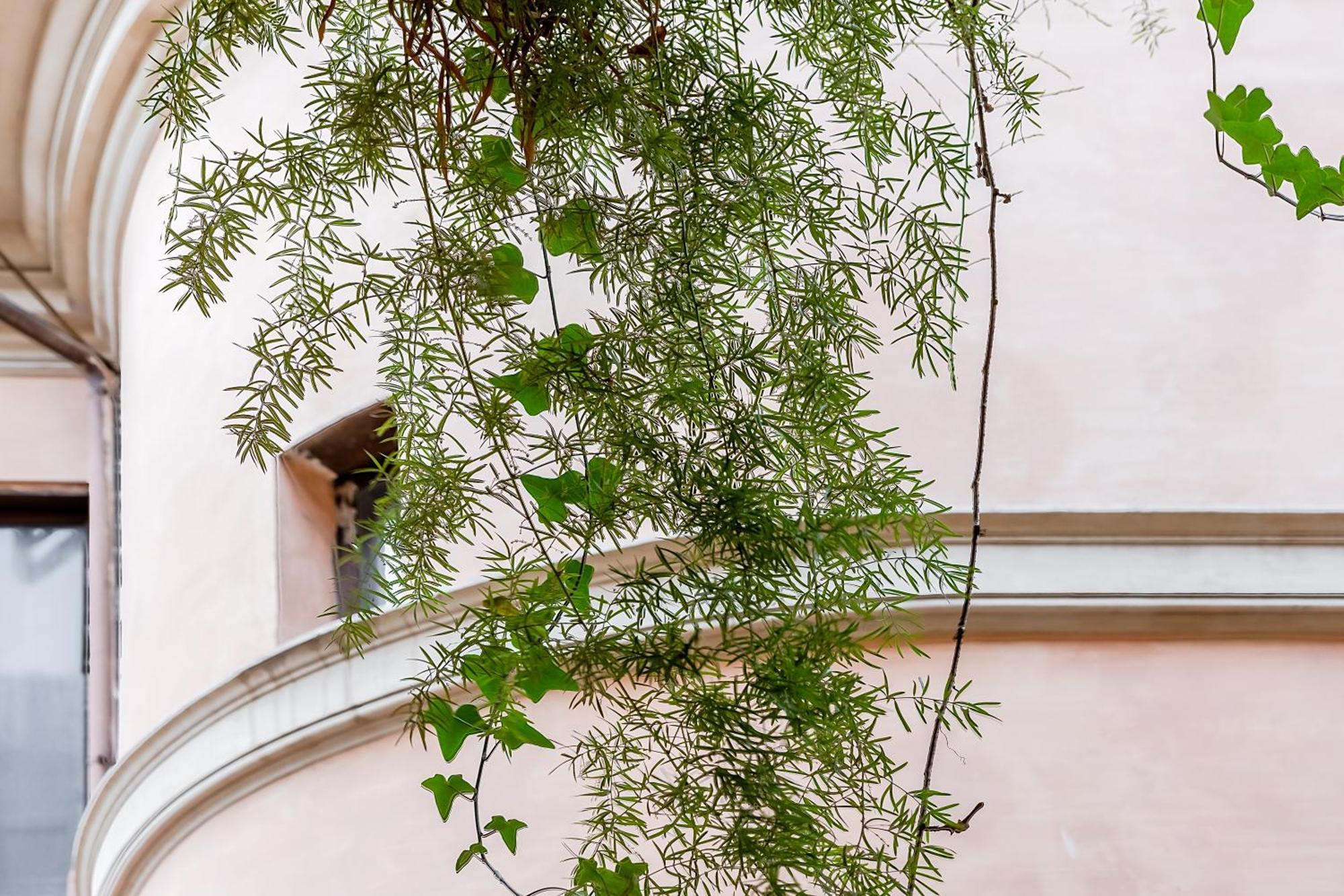 Apartamento Trevi Fountain Stylish Roma