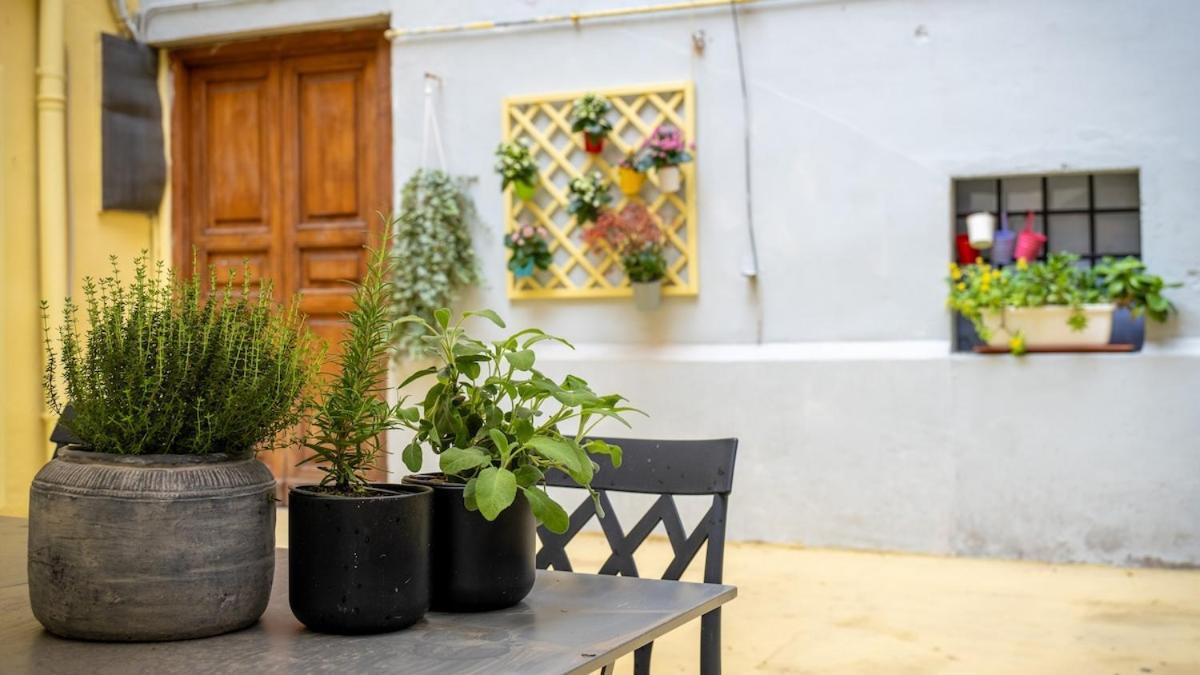 Domus Pietra In The Heart Of * Roma