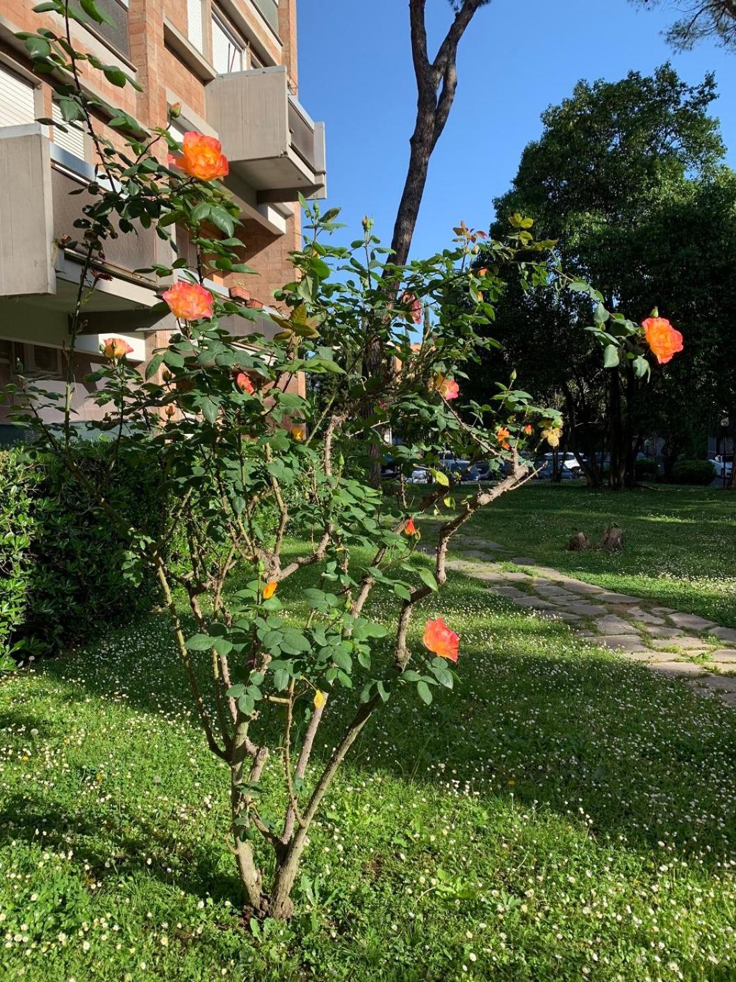 Apartamento Sunshine