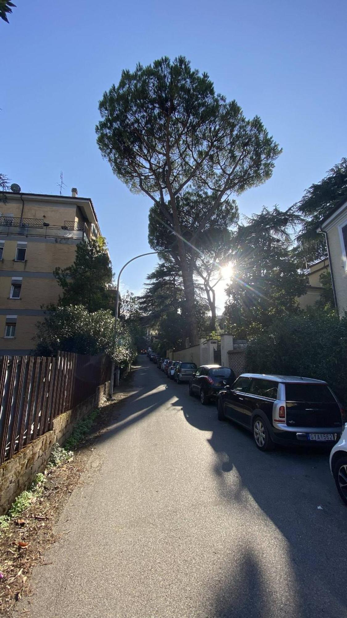 Garden House - Casa Con Giardino Privato * Roma