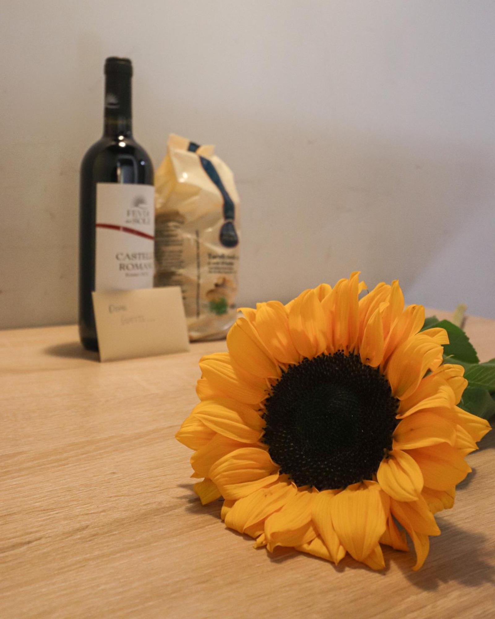 Ciambella Cozy Flat Roma