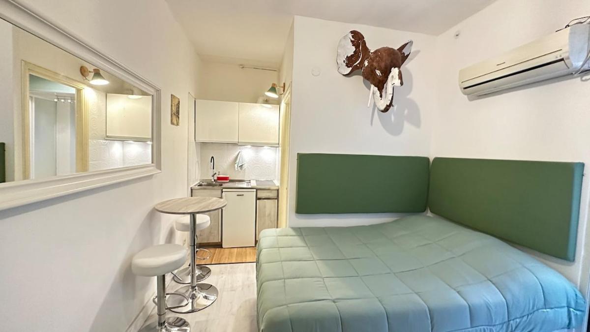 Apartamento Tiny Elephant Mini In *