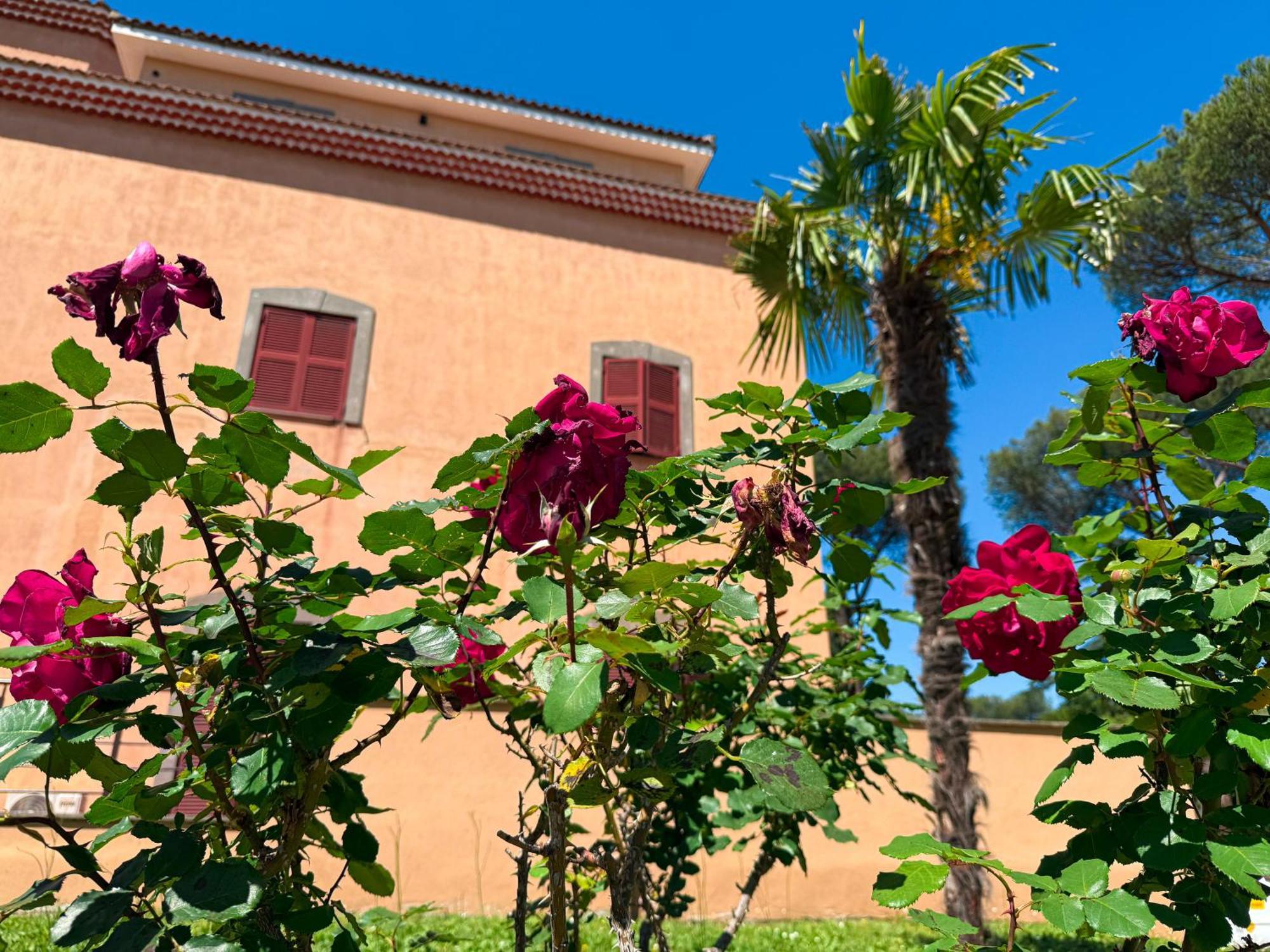 Villa Due Leoni - Casa Per Ferie Rome