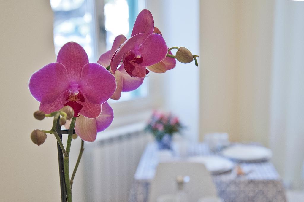 Bed & Breakfast Gloria'S House In Rome 2*