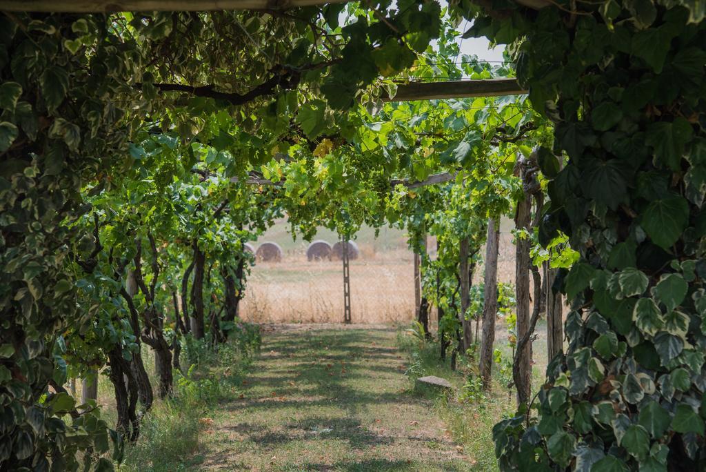 Degli Oleandri Bnb Rom