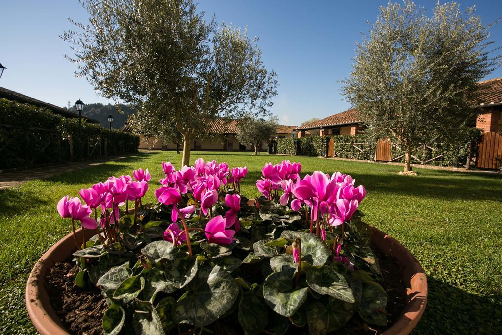 Agriturismo Tre Acque Alloggio per agriturismo Roma