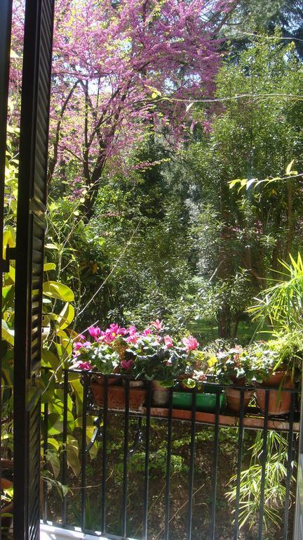 Bed & Breakfast Cagliari House Roma