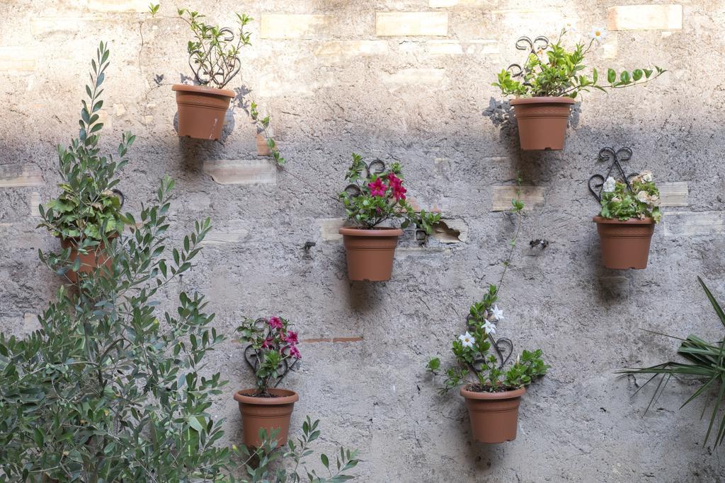 Colosseum Garden Rom