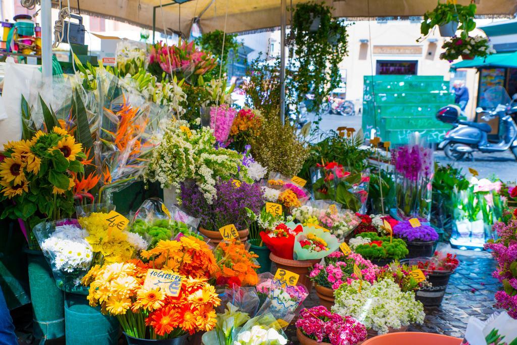 Campo De Fiori Appartamento Roma