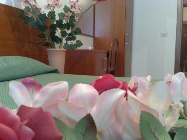 Emily House Bed & Breakfast 3*