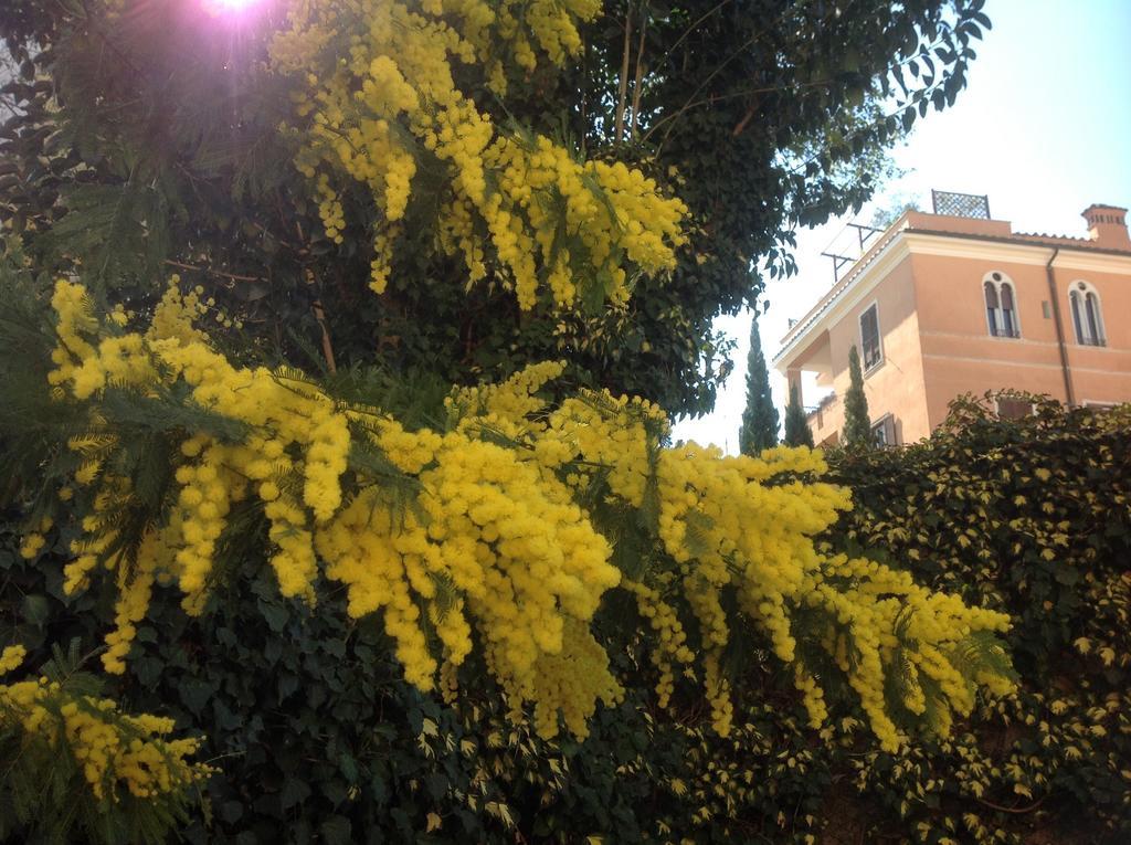 Casa de férias Gianicolo Penny's Garden