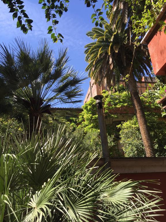 Margutta's Garden * Rom