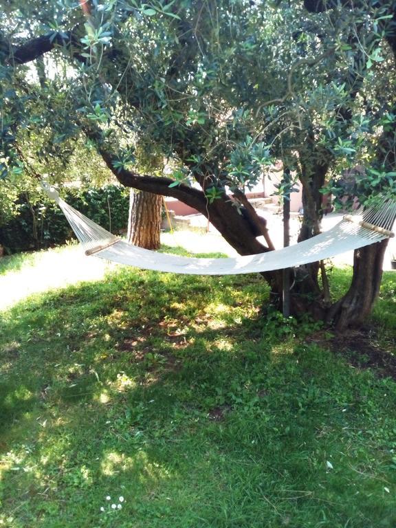 Alojamento de Acomodação e Pequeno-almoço La Casa Di Ro