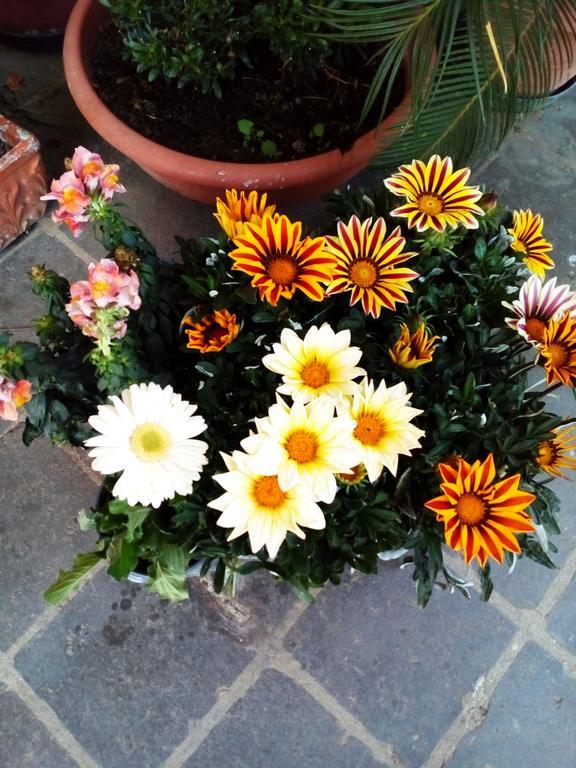 Bed & Breakfast La Casa Di Ro Roma