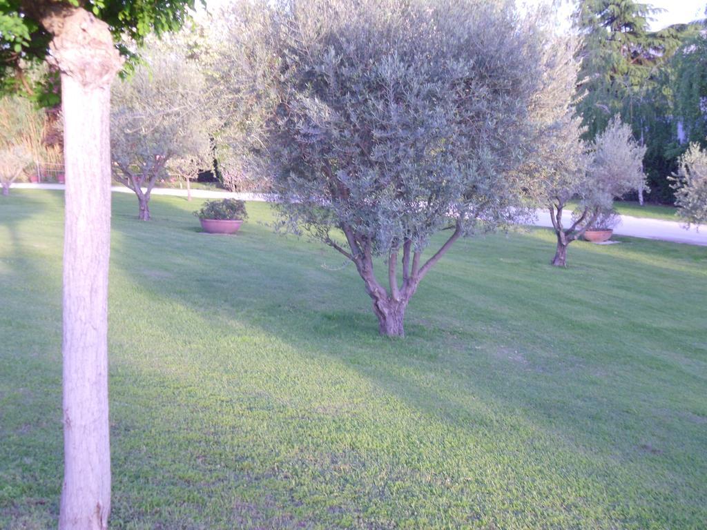 Gjestgiverier Luxardotel Roma
