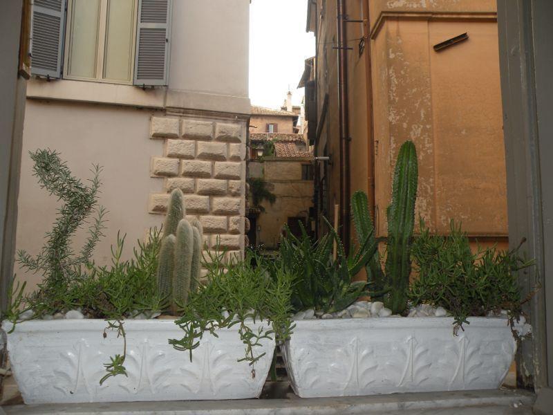 Navona Lovely Penthouse Apartamento Roma