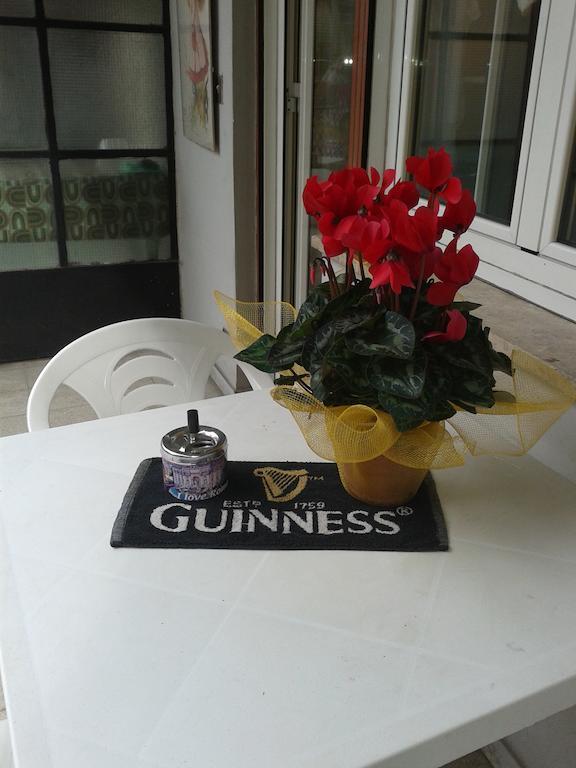 Bed and breakfast In Rima