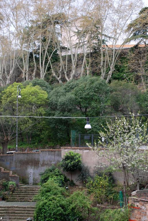 Le Terrazze A Trastevere
