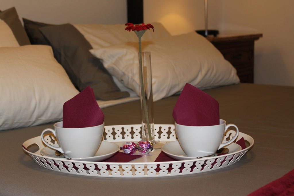 Apartment Lungara