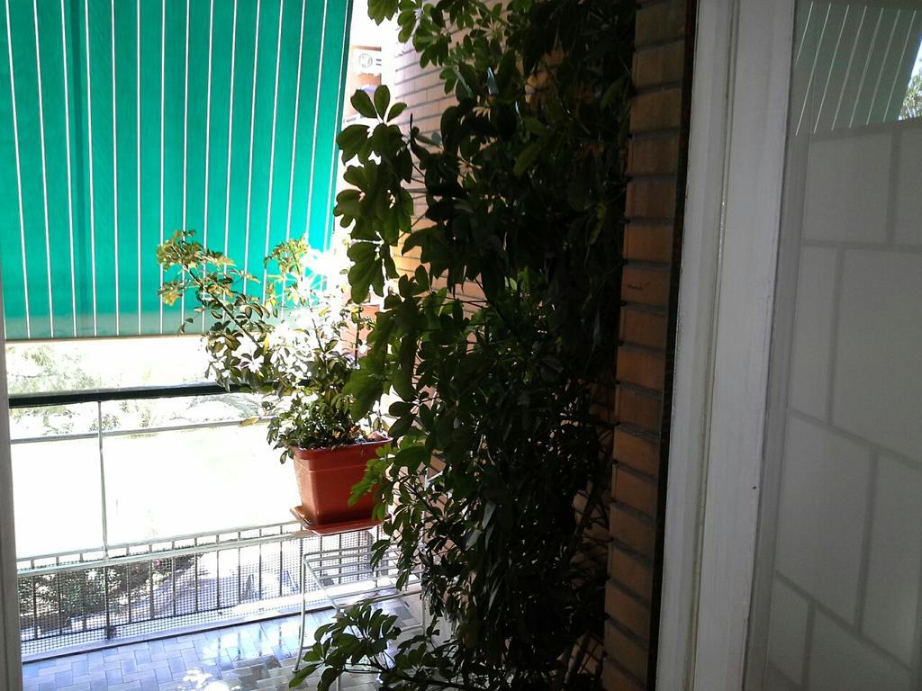 Casa de hóspedes Olimpica Relais