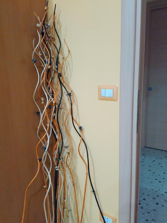 Acomodação com café da manhã  Clelia *
