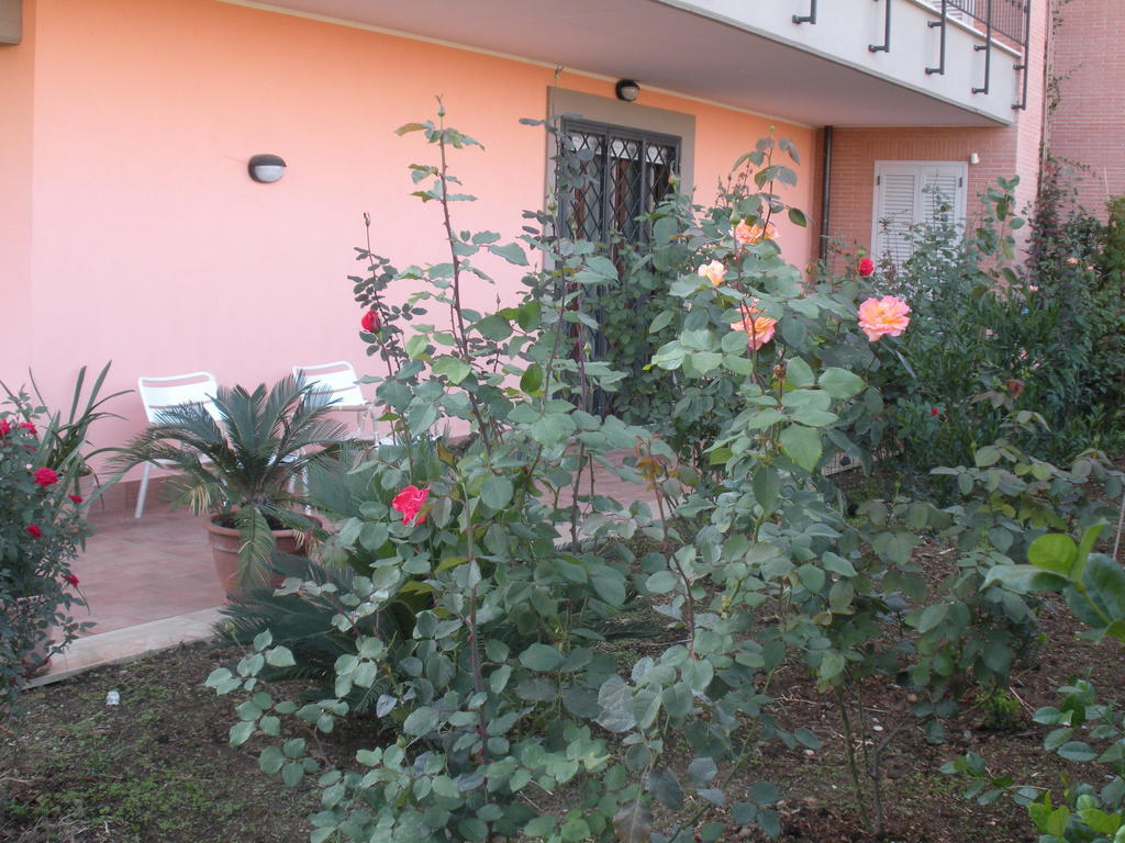 Flores Roma