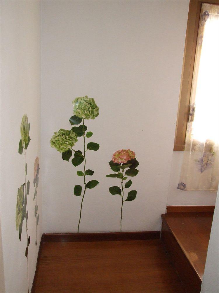 Bed & Breakfast Domus Domiziana