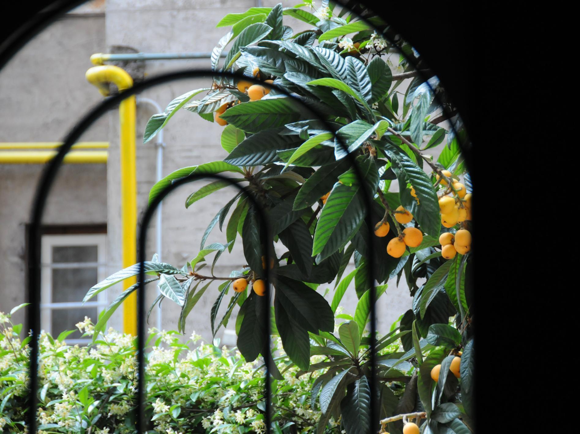 Circus Maximus Bed and breakfast Roma