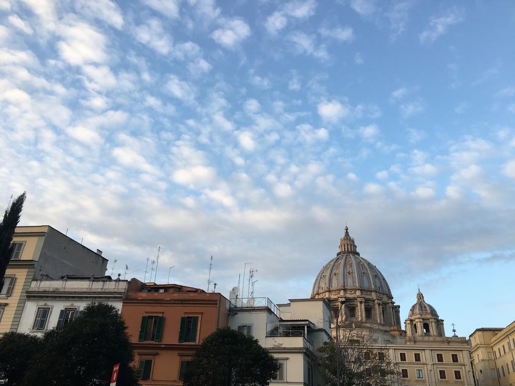 Maru Shelter Rome