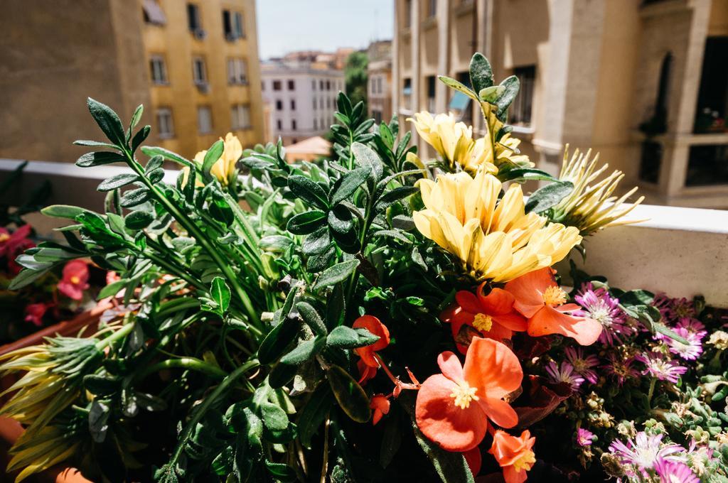 Bed & Breakfast Adriano Augusto Roma