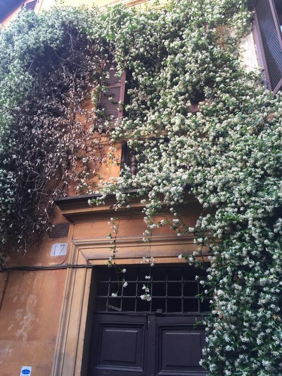 Navona 2 * Roma