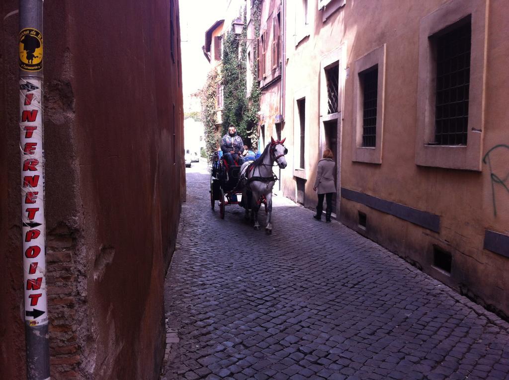 Navona 2 *