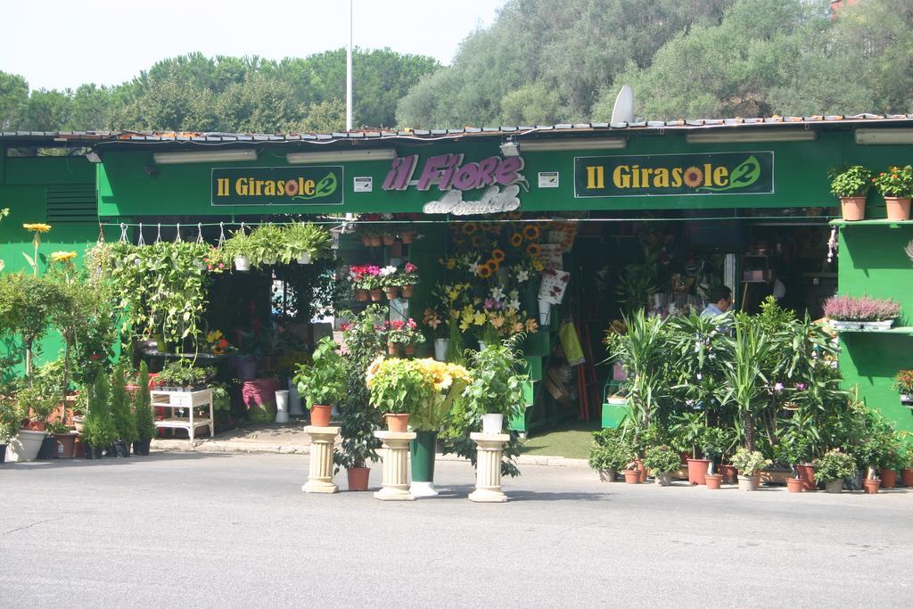Vittoria Roma