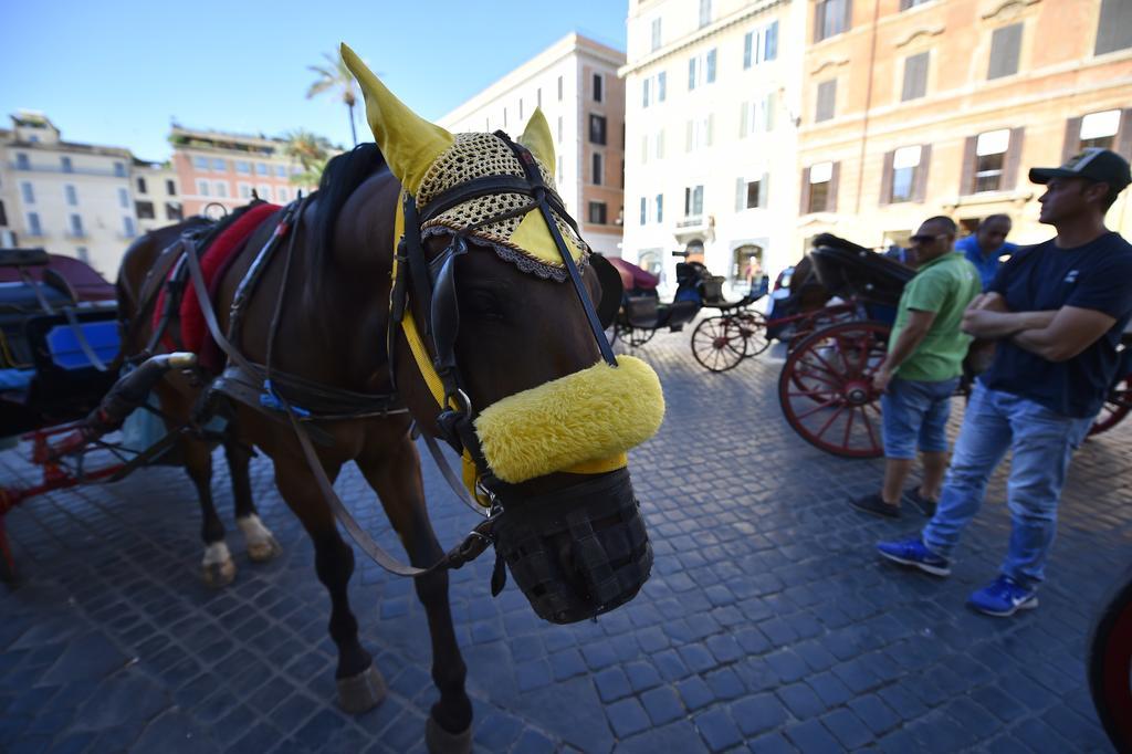 Bed and breakfast Al Centro Storico Di 3*