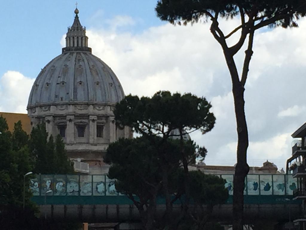 Saint Peter Welcoming Apartamento Roma