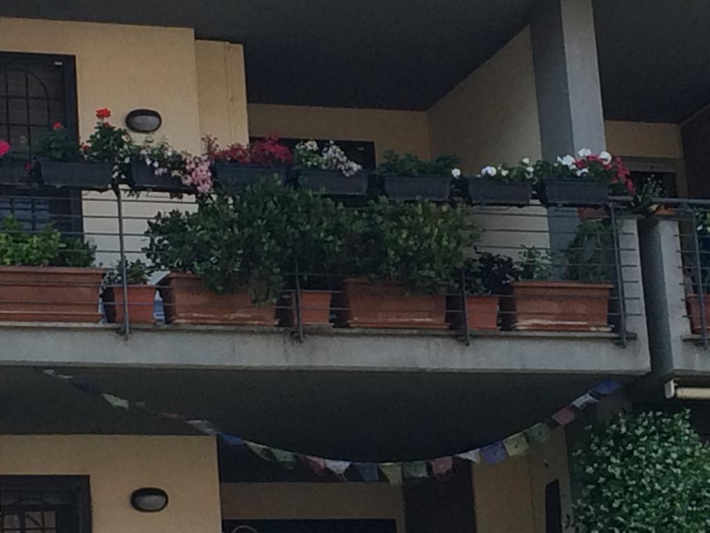 Apartment Casa Antonella *